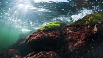 Seabased photo of the sea