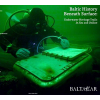 Diver in an underwater museum